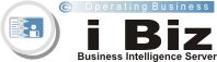iBiz Στοχοθεσία, Μέτρηση Επιχειρηματικής Αποδοτικότητας, Αξιολόγηση Απόδοσης